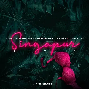Pochette Singapur (remix)