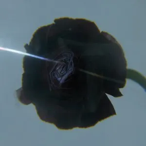 Pochette de Dark Matter de Pablo’s Eye