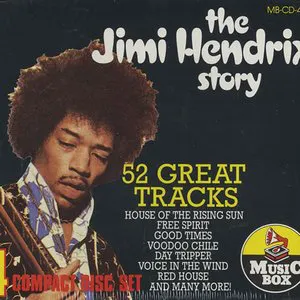 Pochette The Jimi Hendrix Story
