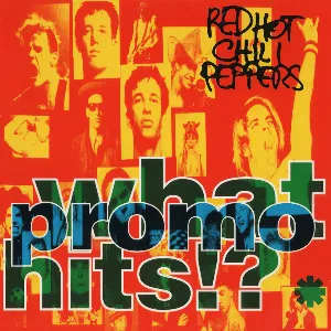 Pochette What Hits!? Best of Red Hot Chili Peppers