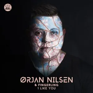 Pochette de 1 Like You de Ørjan Nilsen