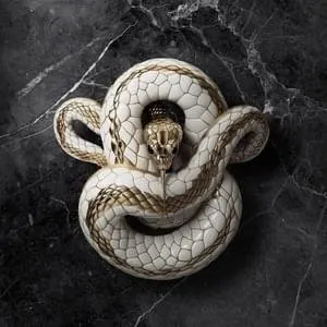 Pochette de Liar de Jelly Roll