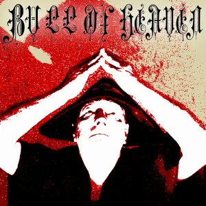 Pochette de 076: Mysterious Signals From Glowing Orbs de Bull of Heaven