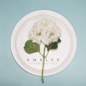 Pochette de Ambler de Standing Egg