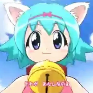 Pochette de pururin de dgty