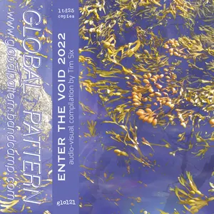 Pochette de Enter the Void 2022 de Tim Six