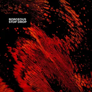 Pochette de Stop Drop de Borgeous