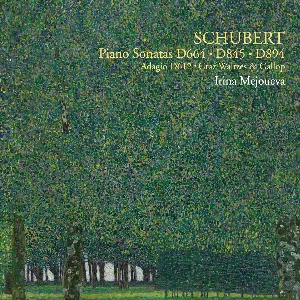 Pochette Schubert - Piano Sonatas D. 664, D. 845, D. 894, etc.