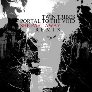 Pochette de Portal to the Void (She Past Away remix) de Twin Tribes