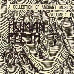 Pochette de A Collection of Ambiant Music: Volume 1 de Human Flesh