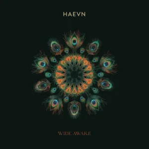 Pochette de Wide Awake de HAEVN