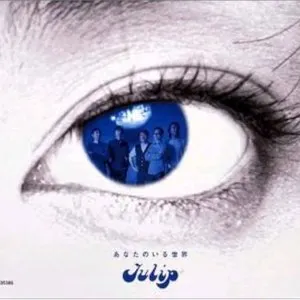 Pochette de あなたのいる世界 de Tulip