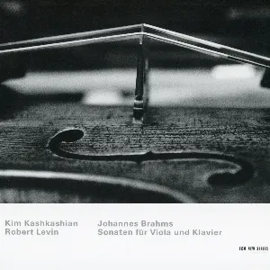 Pochette Johannes Brahms: Sonaten für Viola und Klavier