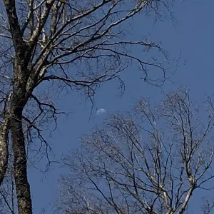 Pochette de NMB (Noon Moon Beam) de Ueda Takayasu