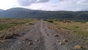 Pochette de Somewhere We Can’t See de Omnis