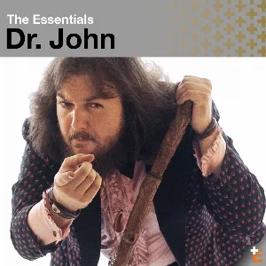 Pochette The Essentials: Dr. John
