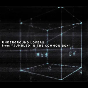 Pochette de From 'Jumbled in the Common Box' de Underground Lovers