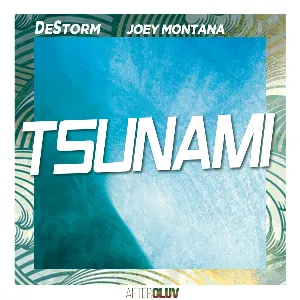 Pochette de Tsunami de Joey Montana