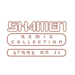 Pochette Remix Collection: Stars On 25