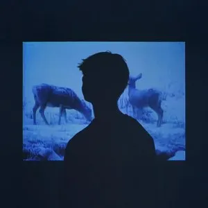 Pochette de memory de Jumo