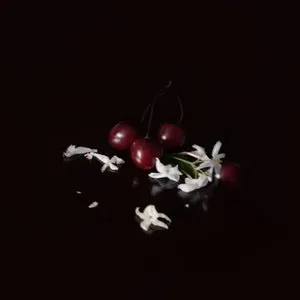 Pochette de One Life : Four Remixes de Malibu