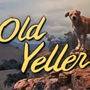 Pochette de Old Yeller de Joji