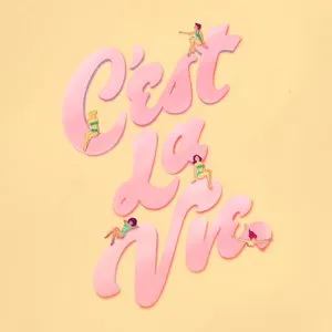 Pochette de C'est La Vie de Yung Gravy