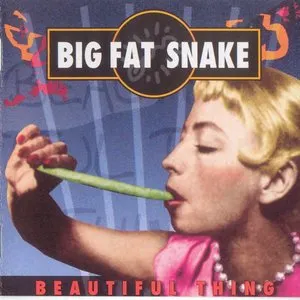 Pochette de Beautiful Thing de Big Fat Snake