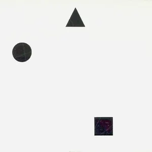 Pochette de The Concealed de John Zorn