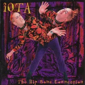 Pochette de The Hip Bone Connection de iOTA
