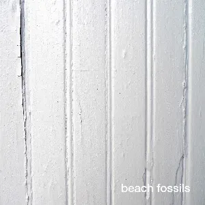 Pochette Beach Fossils