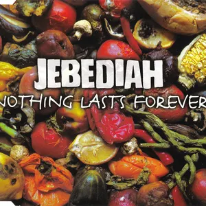 Pochette de Nothing Lasts Forever de Jebediah