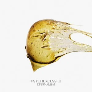 Pochette de Psychexcess III - Eternalism de Frank Riggio