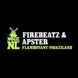 Pochette de Flamboyant / Swaziland de Firebeatz