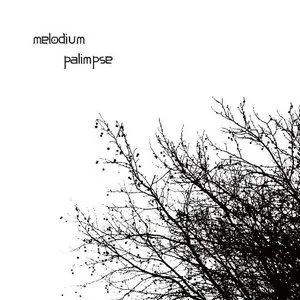 Pochette de Palimpse de melodium