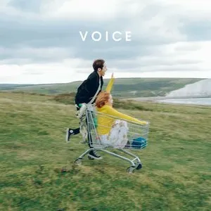 Pochette de VOICE de Standing Egg