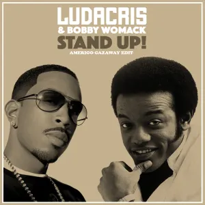 Pochette de Ludacris & Bobby Womack - Stand Up (Single) de Amerigo Gazaway