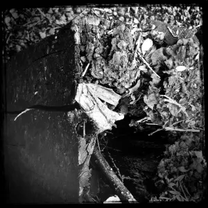 Pochette de Streams of Consciousness de Dirk Serries