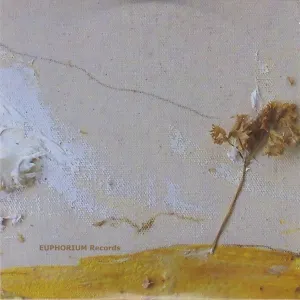 Pochette de Dirn Bridge de Axel Dörner