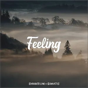Pochette de Feeling de Dimatis