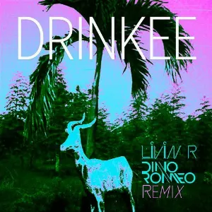Pochette de Drinkee (Livin R & Dino Romeo remix) de Sofi Tukker