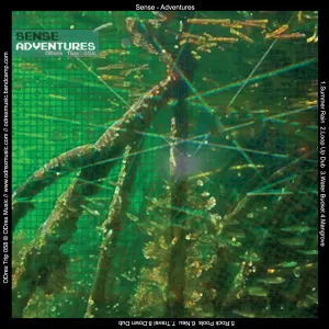 Pochette de Adventures de Sense