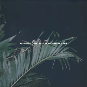 Pochette de Bummed de Alison Wonderland