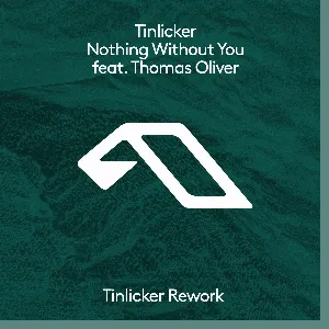 Pochette de Nothing Without You (Tinlicker rework) de Tinlicker