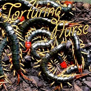 Pochette de Does Utmost de Torturing Nurse