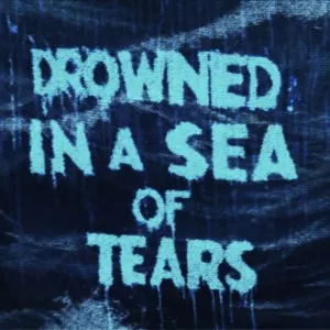 Pochette de Drowned in a Sea of Tears de Sparks