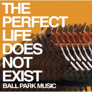 Pochette de The Perfect Life Does Not Exist de Ball Park Music