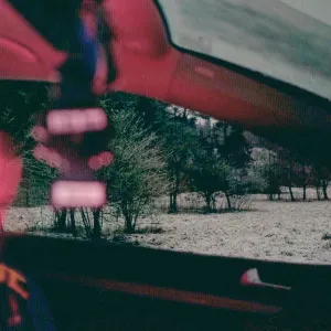 Pochette de hibernation de Sam Gellaitry