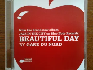 Pochette de Beautiful Day de Gare du Nord