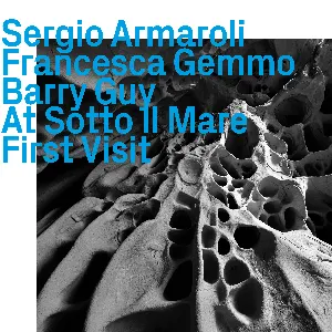Pochette de At Sotto il mare, First Visit de Barry Guy